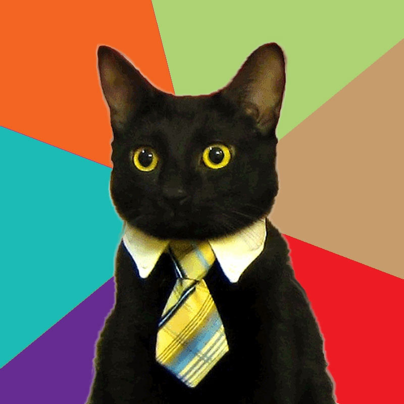 Business Cat Meme Generator