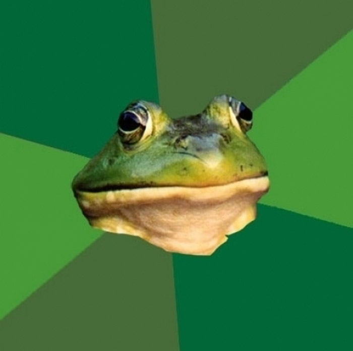 Foul Bachelor Frog Meme Generator