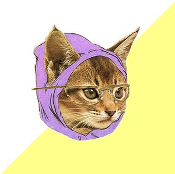 Hipster Kitty Meme Generator