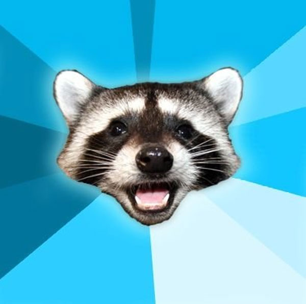 Lame Pun Racoon Meme Generator