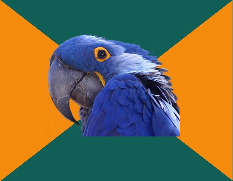 Paranoid Parrot Meme Generator