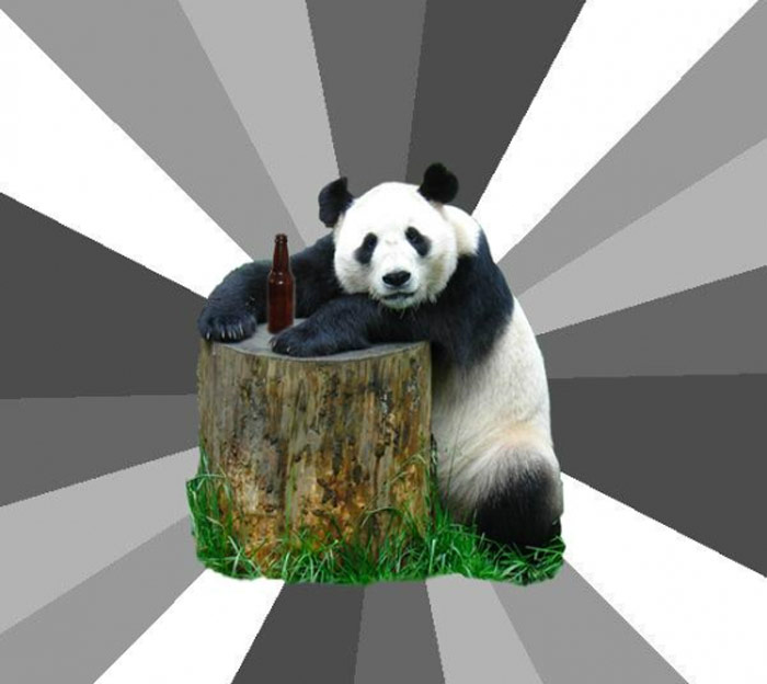 Pickup Line Panda Meme Generator