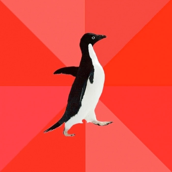 Socially Awesome Penguin Meme Generator